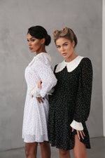 Load image into Gallery viewer, Crepe Chiffon Dress with Turndown Collar and Cuffs-baagr.myshopify.com-dress.-BOJONI

